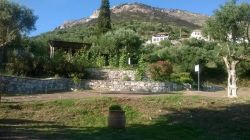 11913012_1127688107258896_1079847549_n